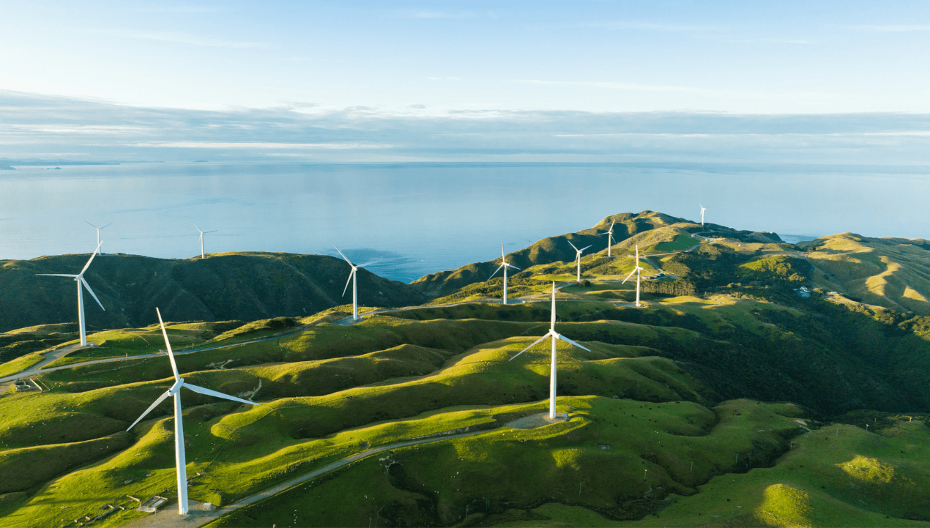 Energy and tech assets dominate Kiwi deal flow